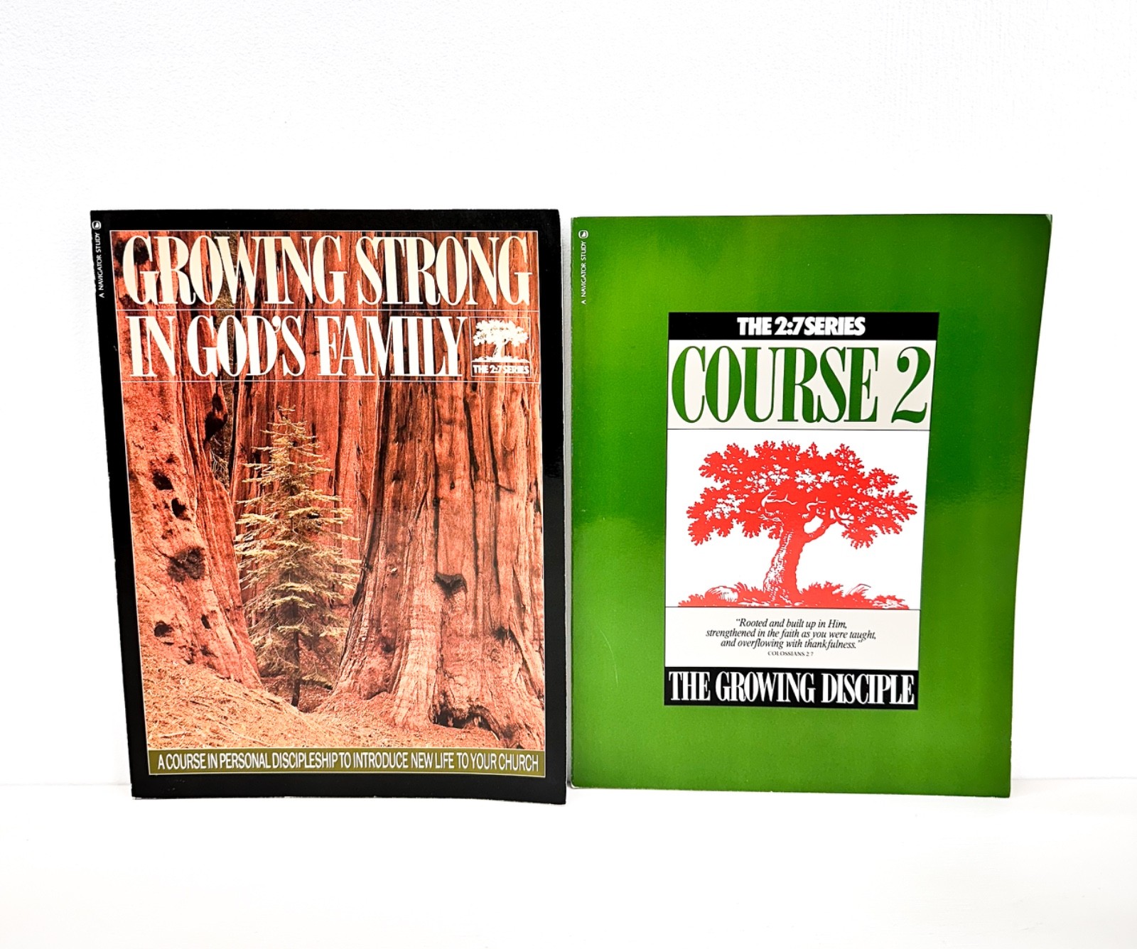 Growing Strong in God&rsquo;S Family: Rooted and Built up in Him -The 2:7 Series 2 LOT