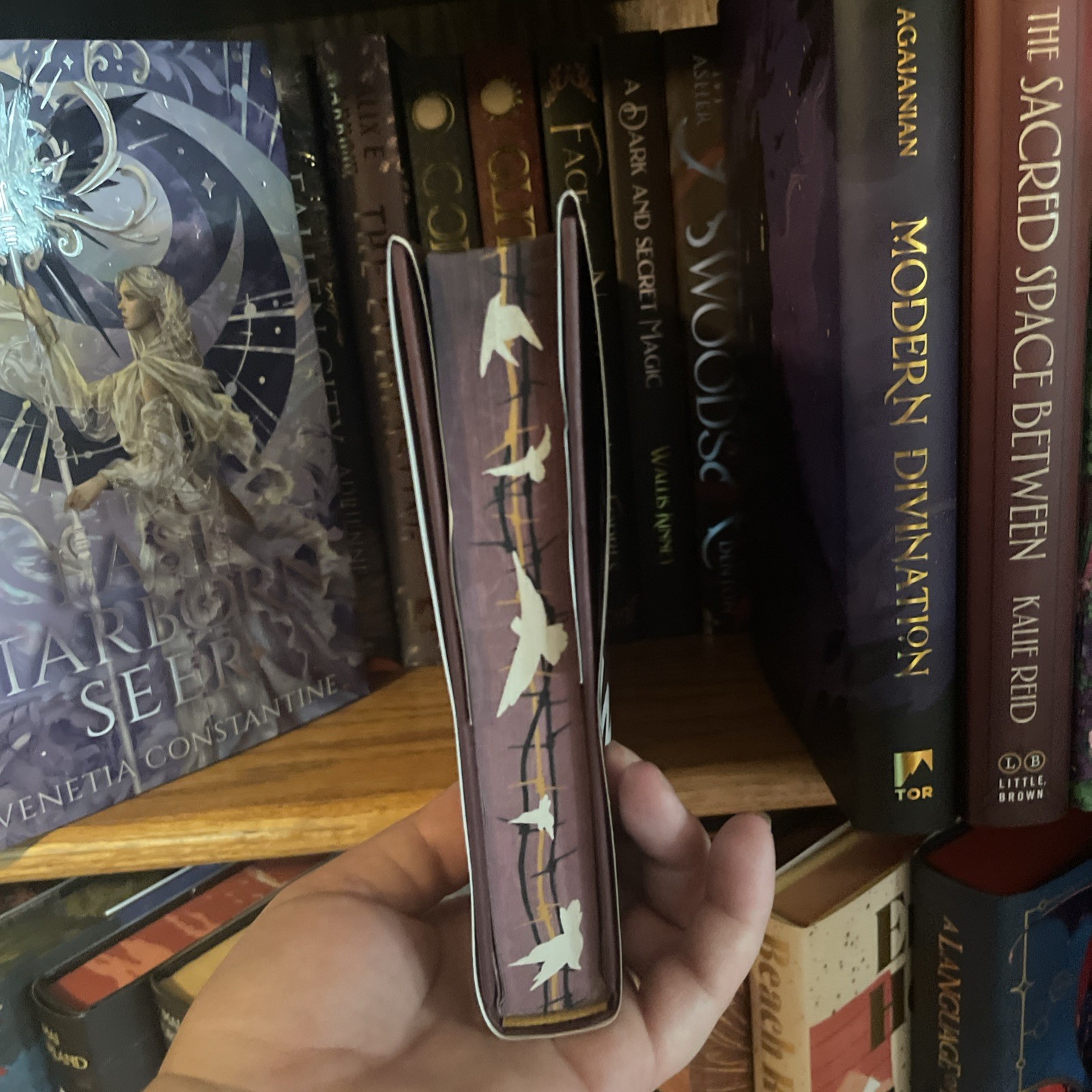 To Cage A Wild Bird By Brooke Fast Allurial Special Edition Edges Hardcover