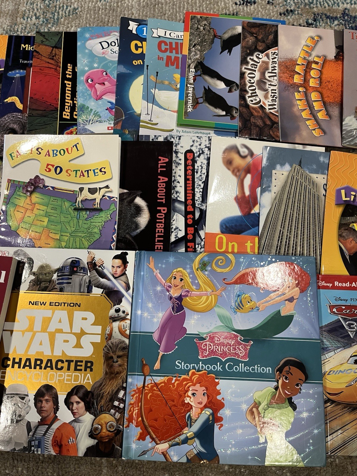 Mixed Book Bundle – Children’s, Educational & General Interest (30+ Books)