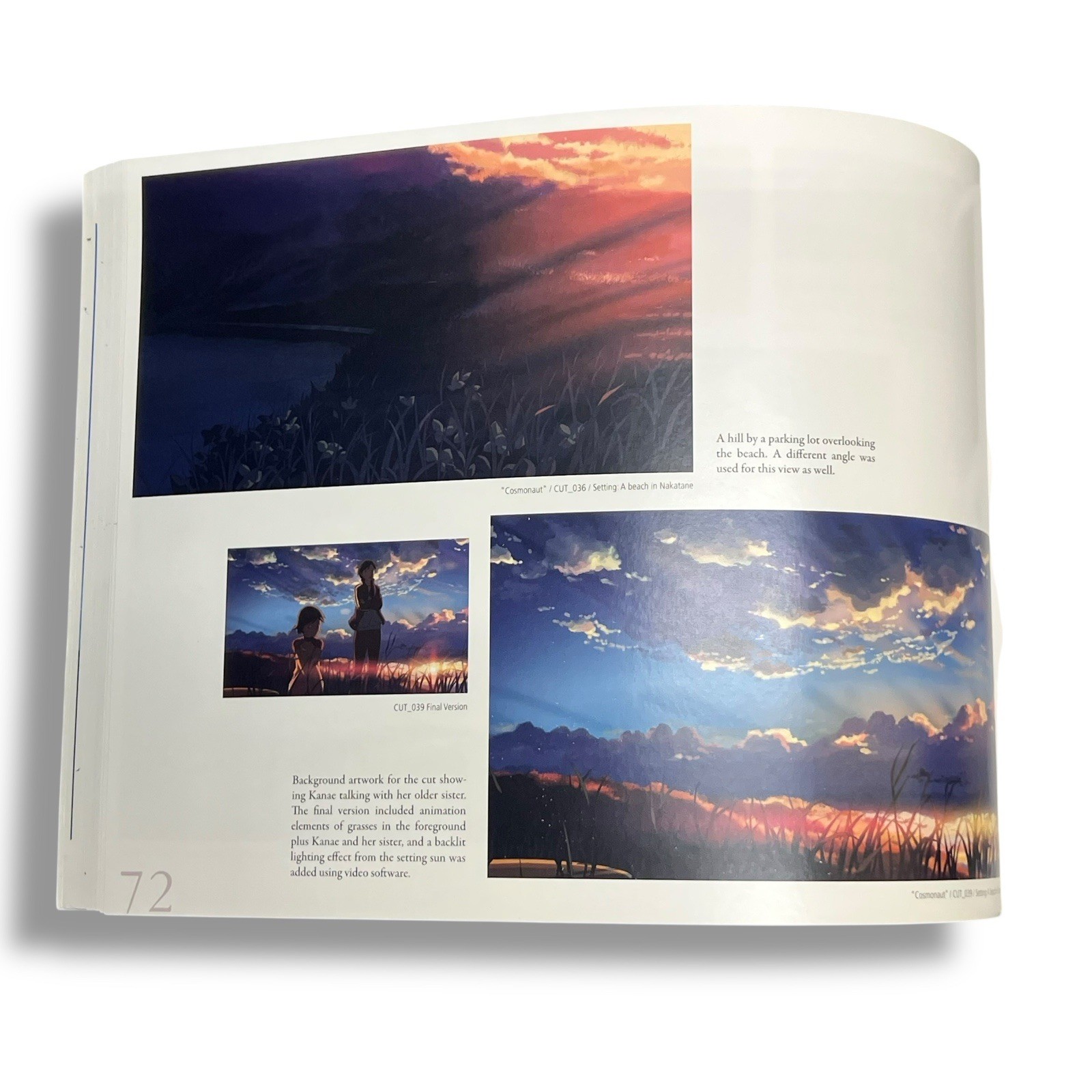 A Sky Longing for Memories: The Art of Makoto Shinkai