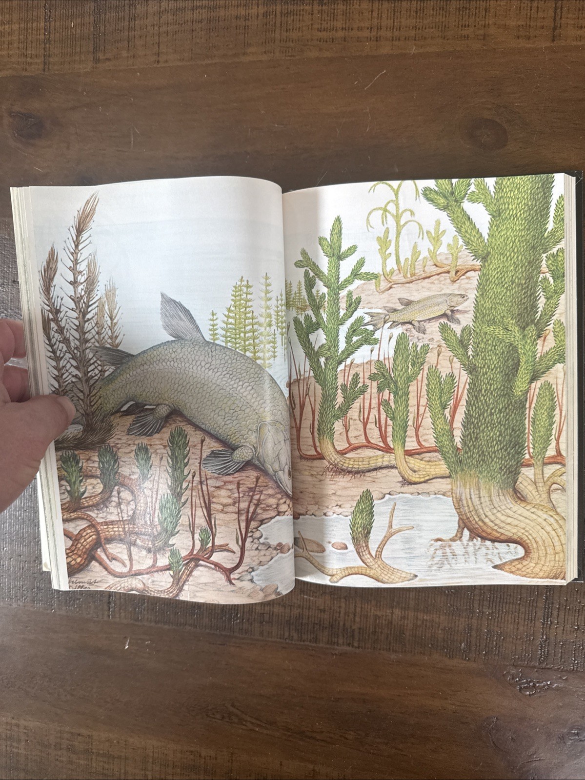 1976 Prehistoric Animals Childcraft Annual Book Hardcover Child Educational