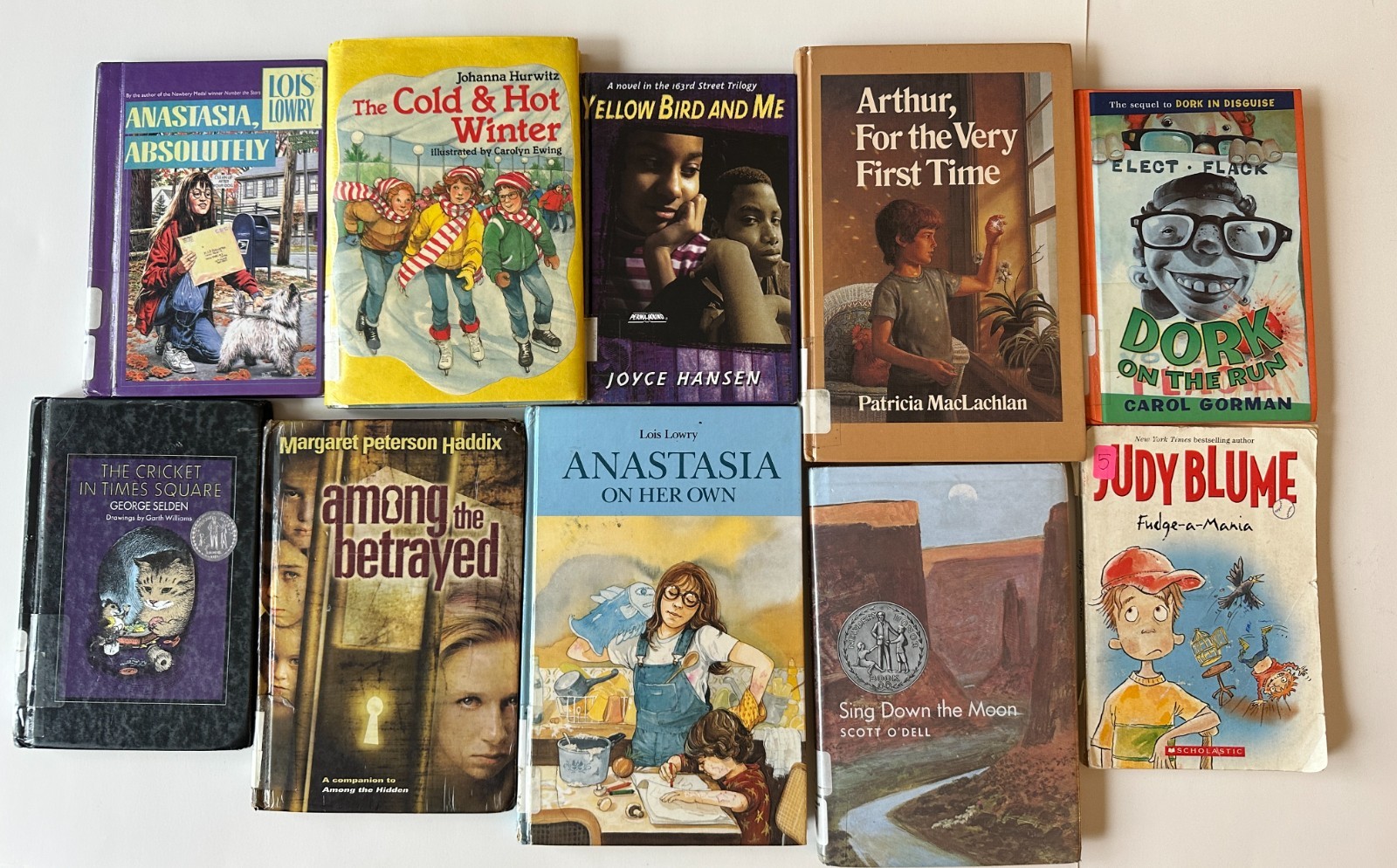 Lot of 10 Random 4th Grade Children&rsquo;s Chapter Book Series – Elementary Library