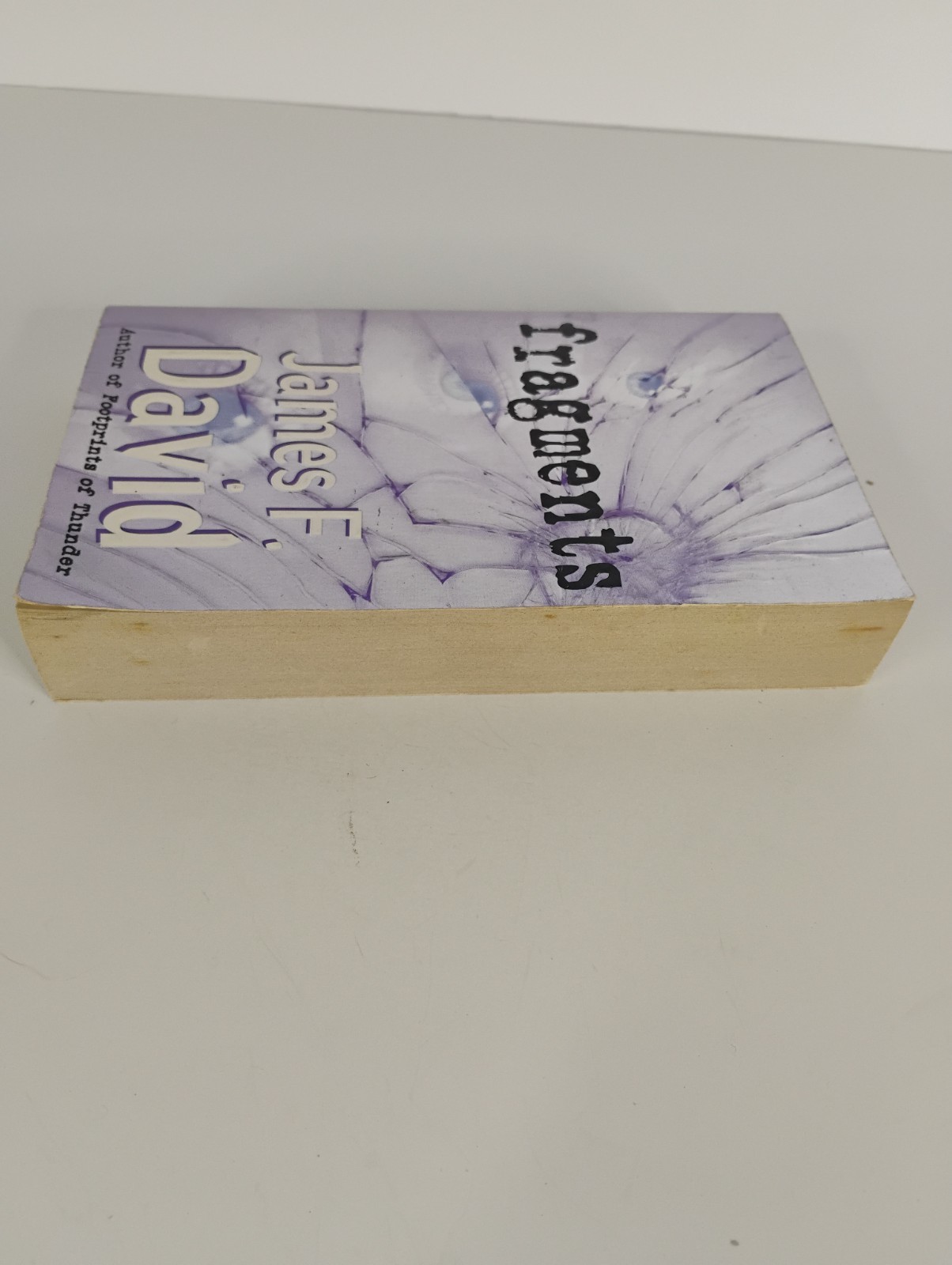 Fragments Hardcover James F. David