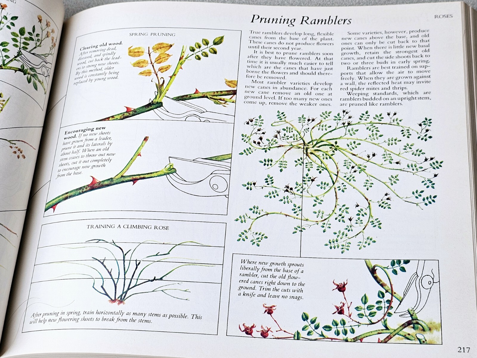 Reader&rsquo;s Digest Illustrated Guide to Gardening Various 672 Pages Hardcover 1977