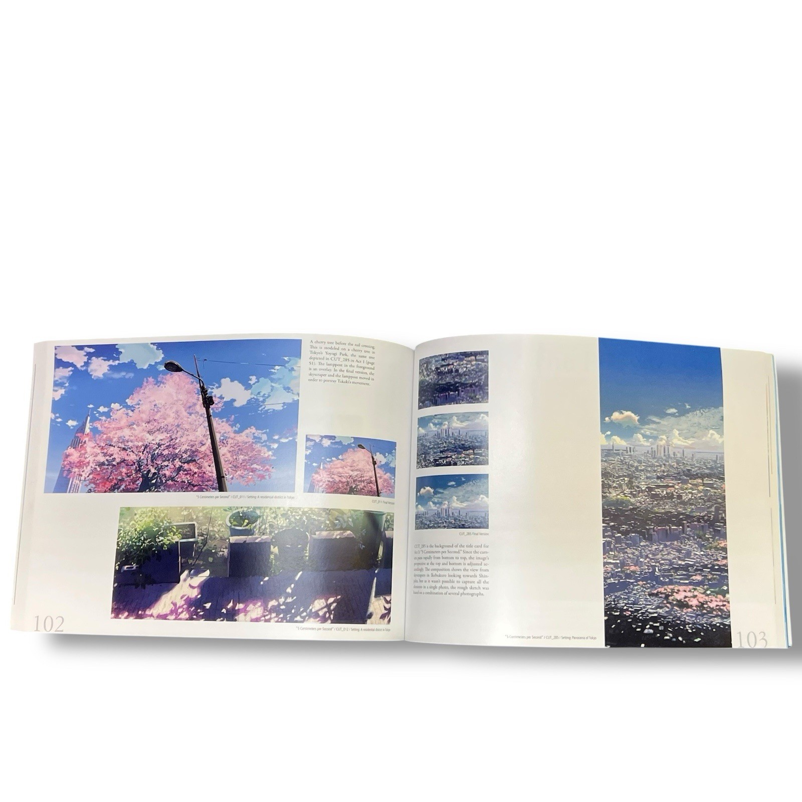 A Sky Longing for Memories: The Art of Makoto Shinkai
