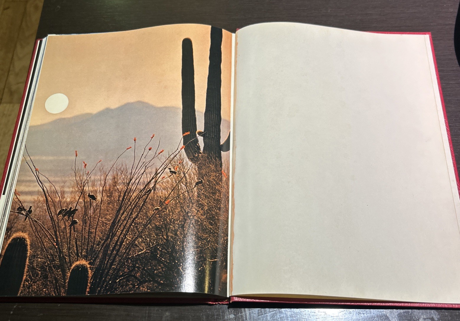 The Best From Arizona Highways-Roadside Beautiful Scenery 175 Pages Of Amazing