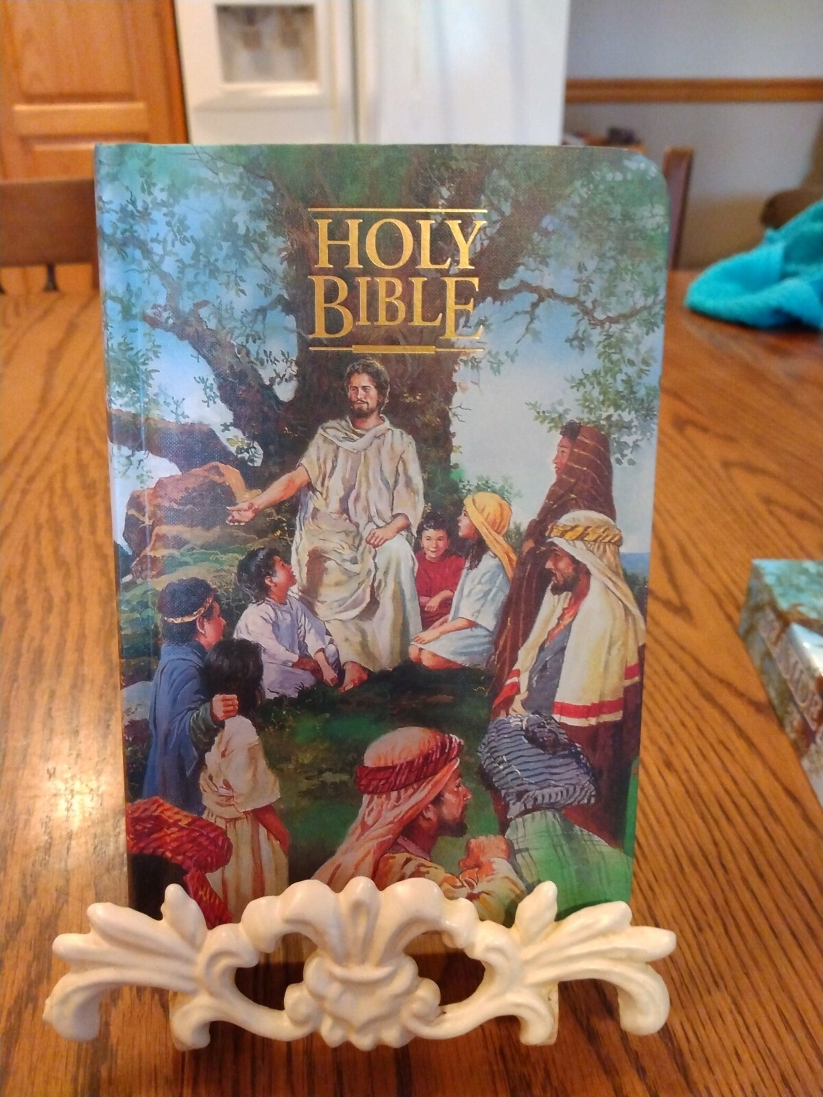 Children&rsquo;s Bible KJV Seaside Bible Illustrated Nelson Hardcover blue edge