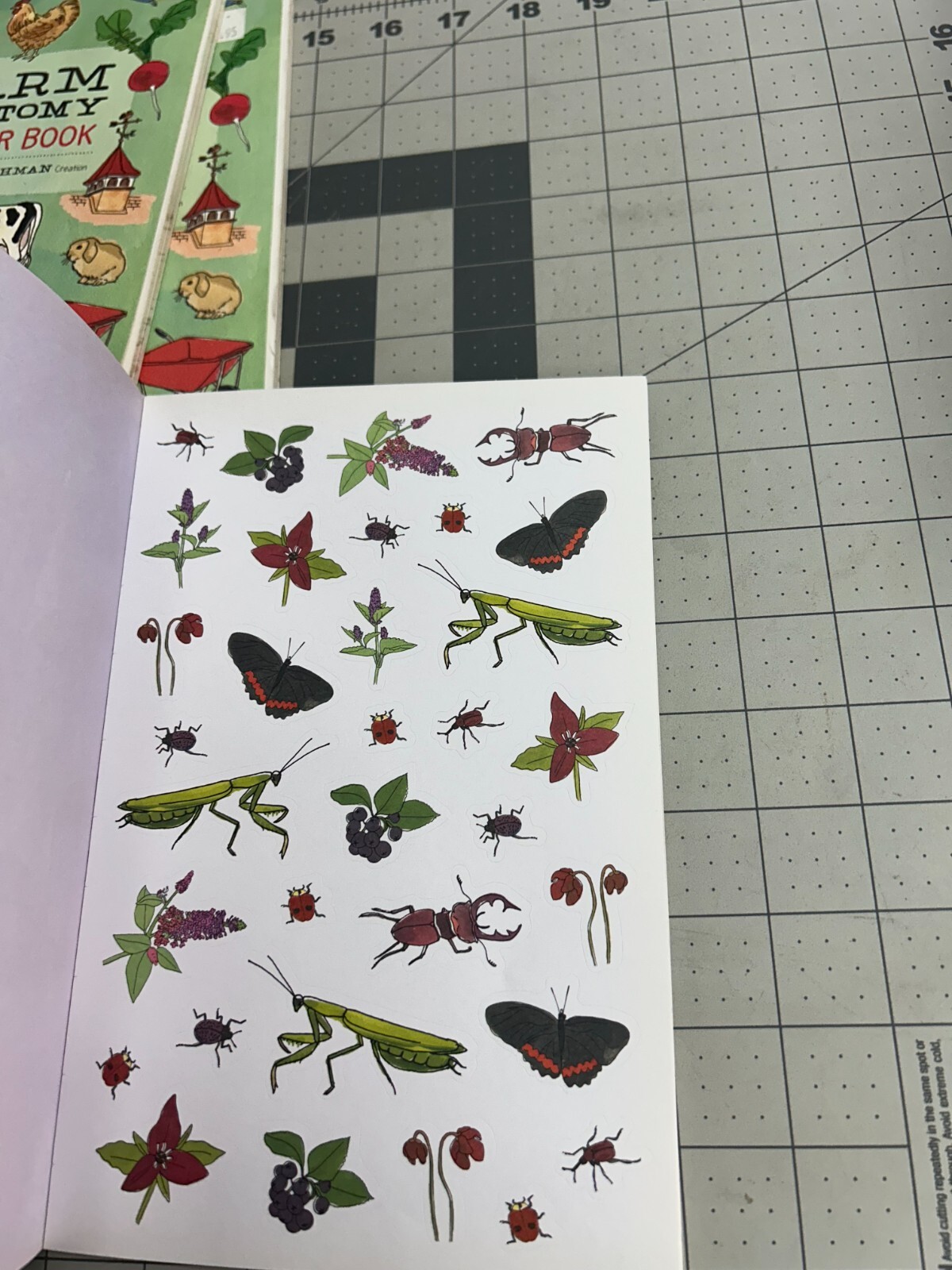 New 3-pack lot Farm Nature Anatomy Sticker Book Julia Rothman Cows Chickens Corn