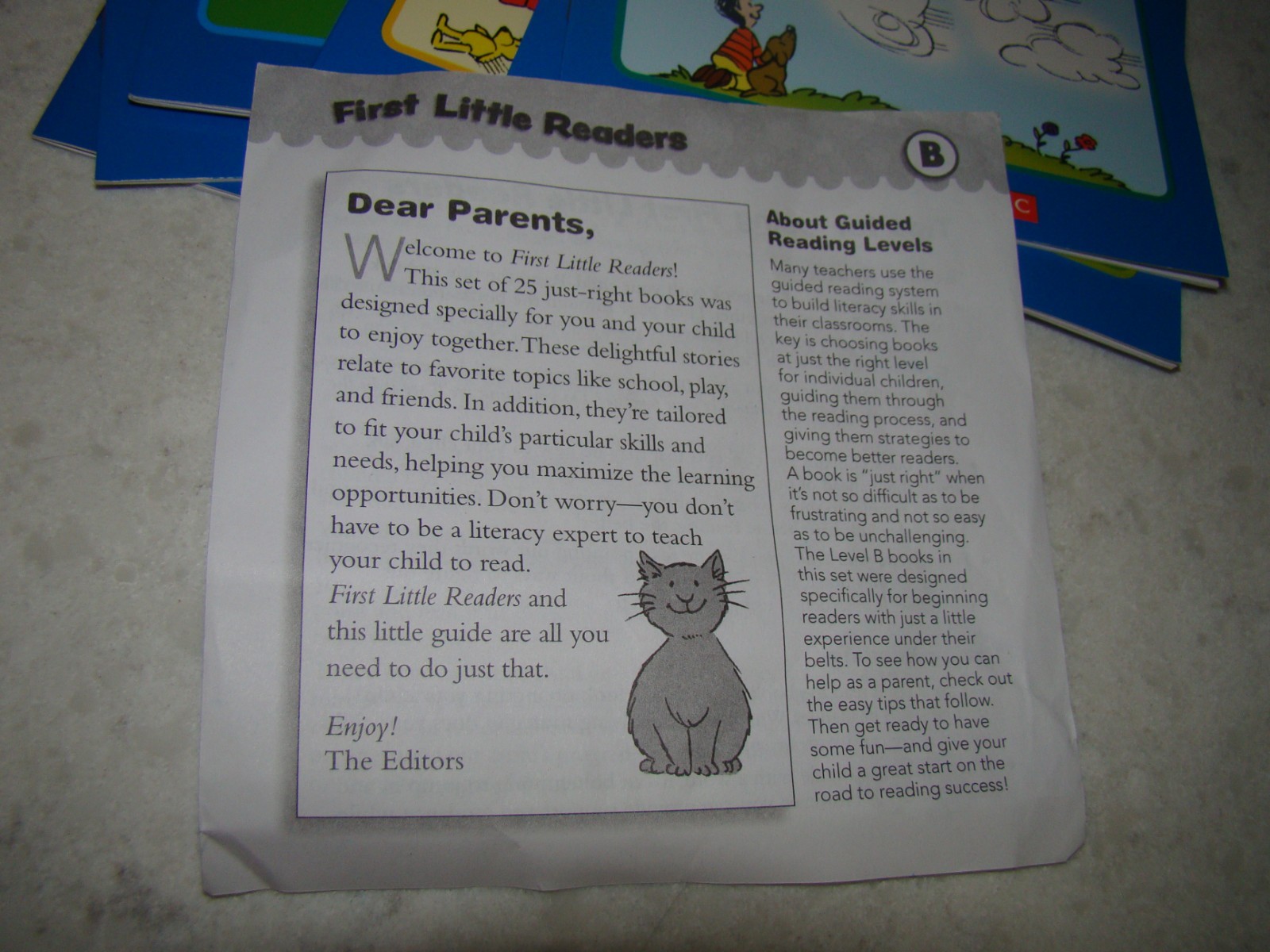Lot 41 Scholastic Little Leveled Readers Level A, B Books Kindergarten, 1st