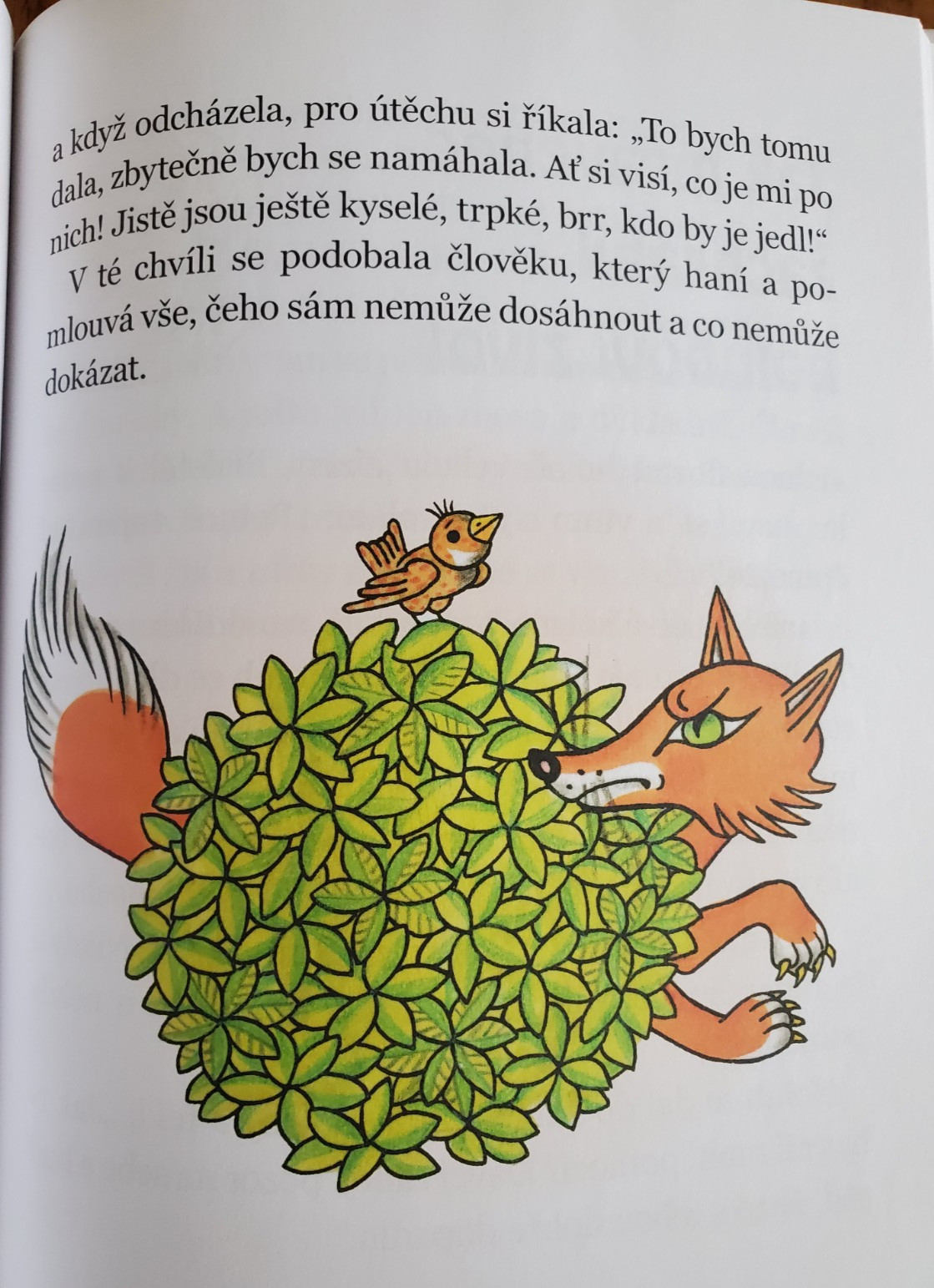 Lot 4 Kids Children&rsquo;s CZECH Language BOOKS Librex FICTION HARDCOVERS
