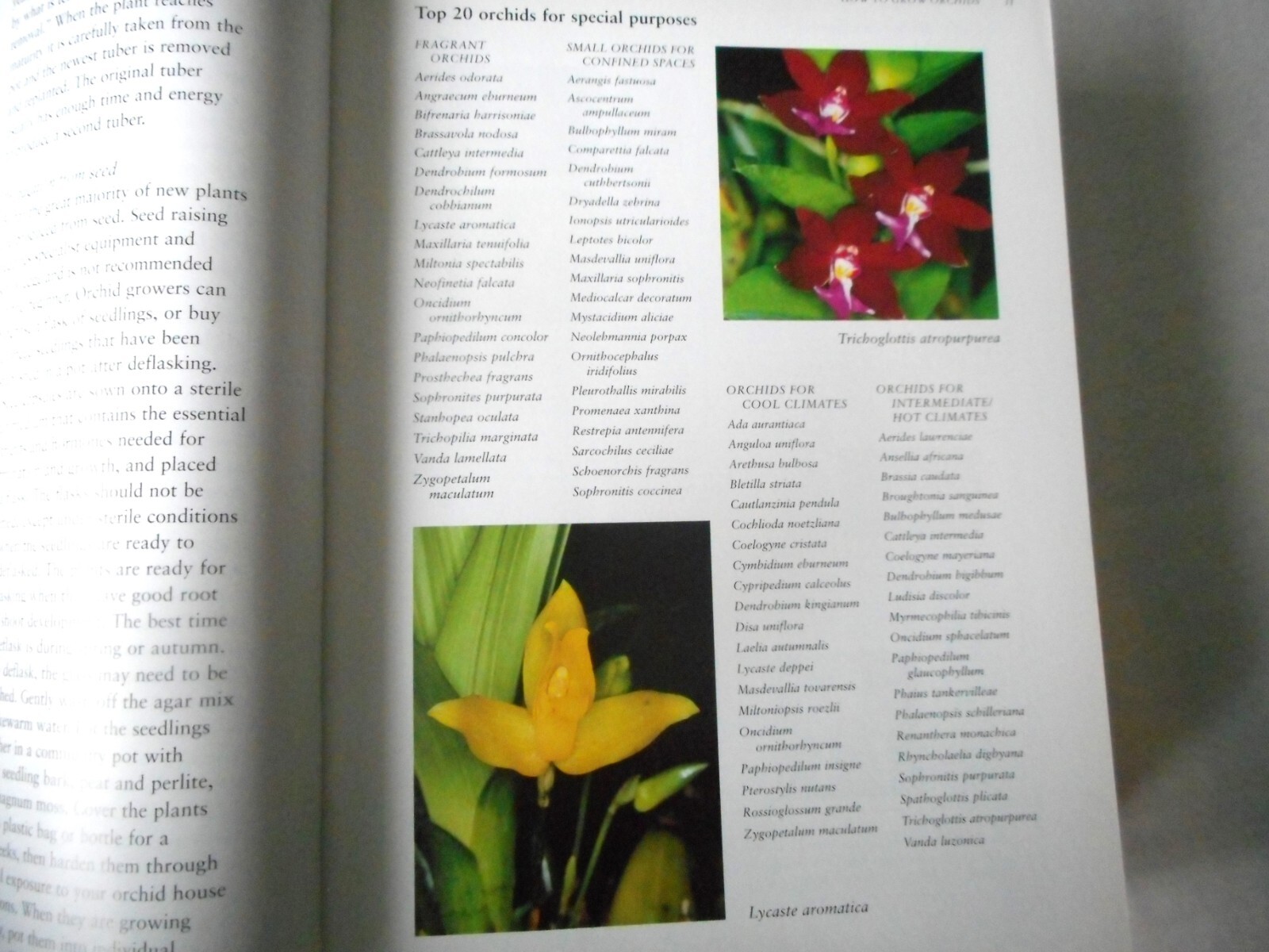 Orchids Over 1200 Species Listed 2002 Botanica