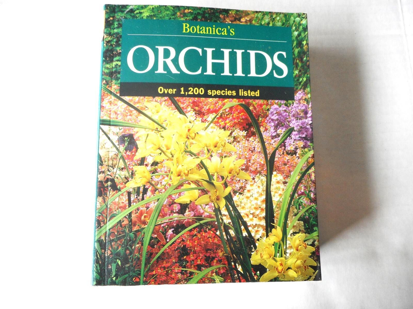 Orchids Over 1200 Species Listed 2002 Botanica