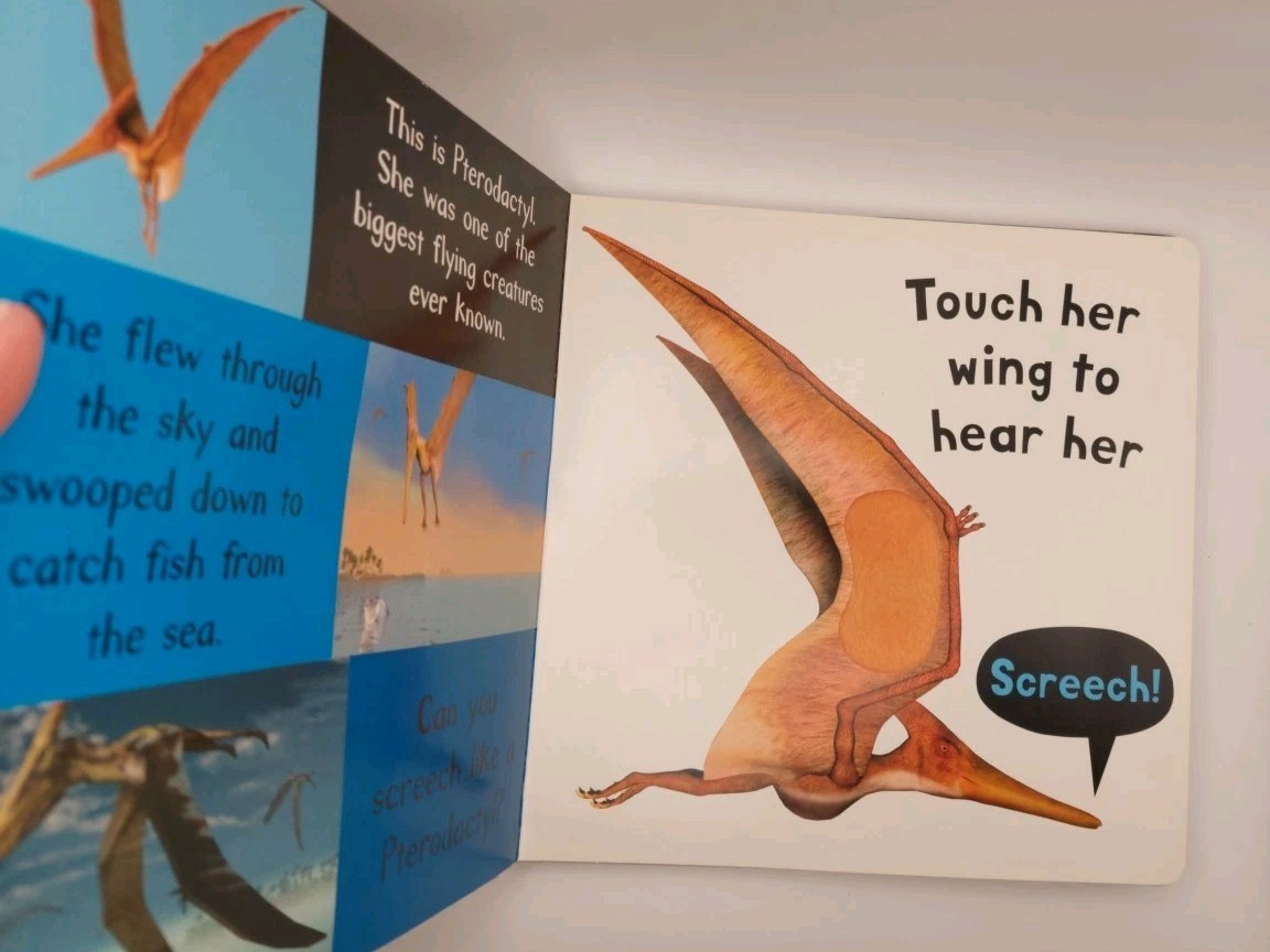 🦕 2 Board Books – How Do Dinosaurs Count to Ten & Noisy Dinosaurs