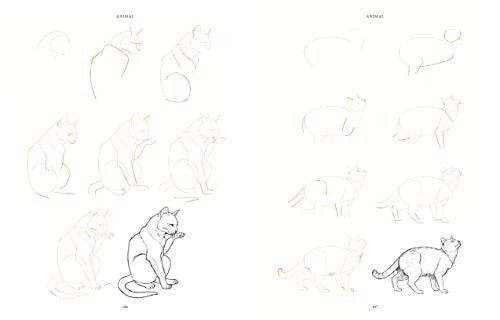 Draw 200 Animals: The Step-by-Step Way to Draw Horses, Cats, Dogs, Birds, Fish,