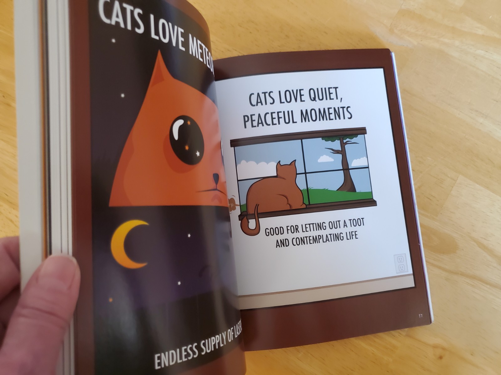 How to Tell If Your Cat Is Plotting to Kill You With Poster The Oatmeal 2012