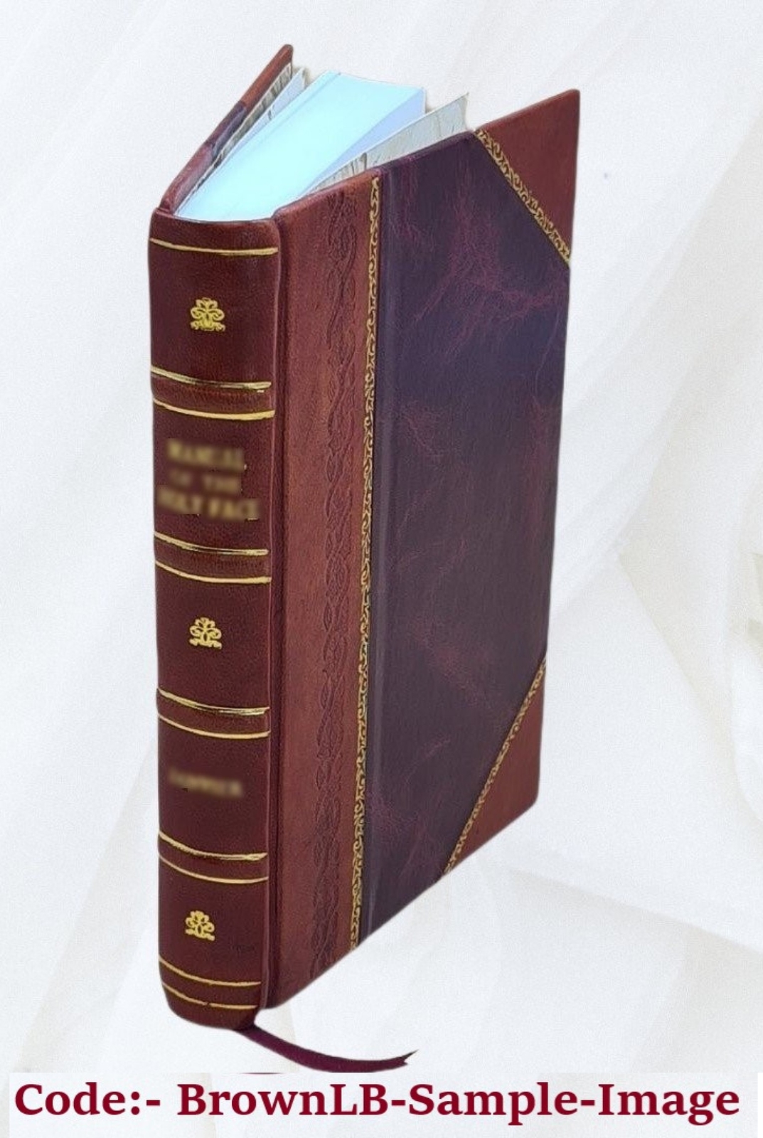 The Lady&rsquo;S Manual Of Homeopathic Treatment In The Various Derang [Leather Bound]