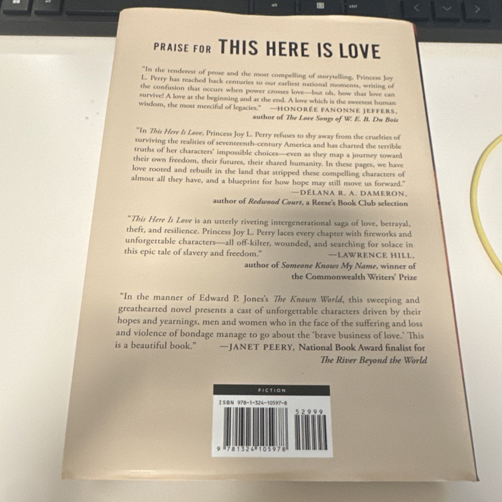 Princess Joy L. Perry This Here Is Love: A Novel Hardcover 2025 Fiction