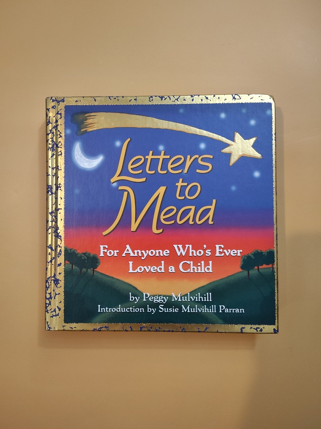 Letters to Mead: A Mother&rsquo;s Extraor…, Mulvihill, Pegg