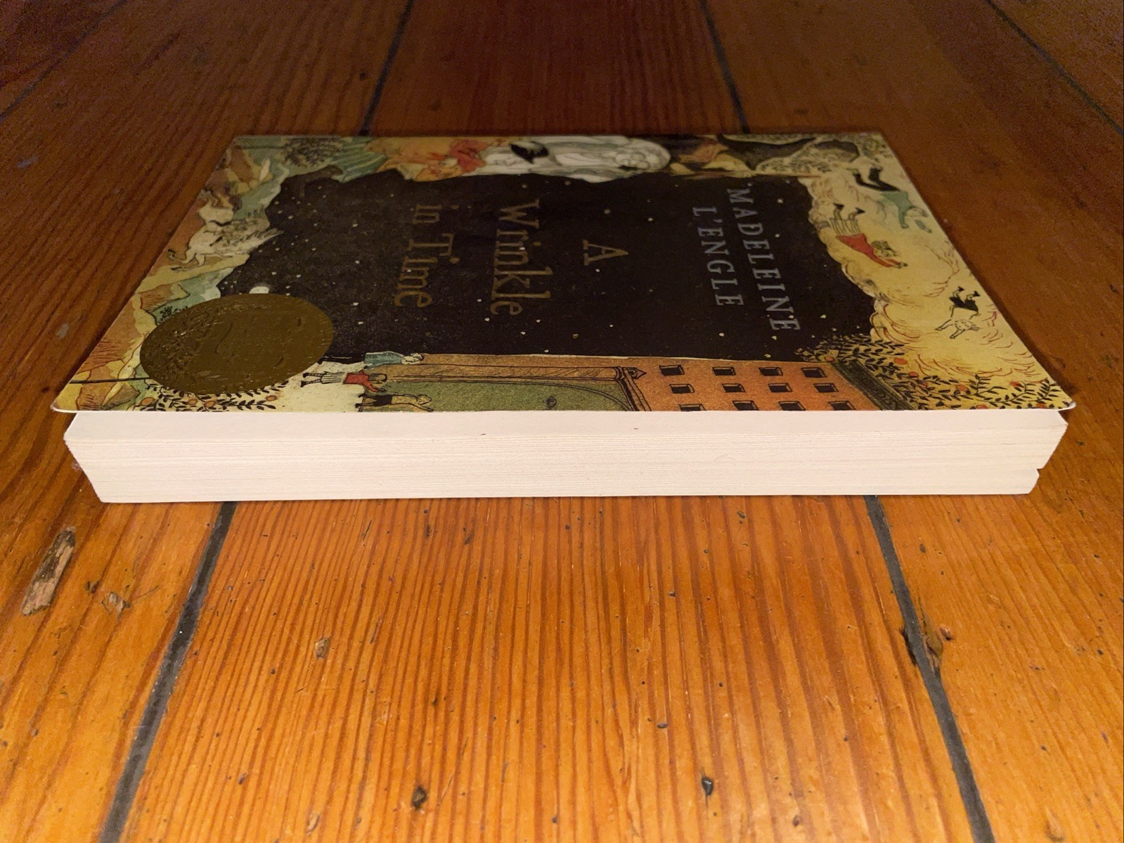 A Wrinkle In Time by Madaleine L&rsquo;Engle (2007 Square Fish Trade Paperback)
