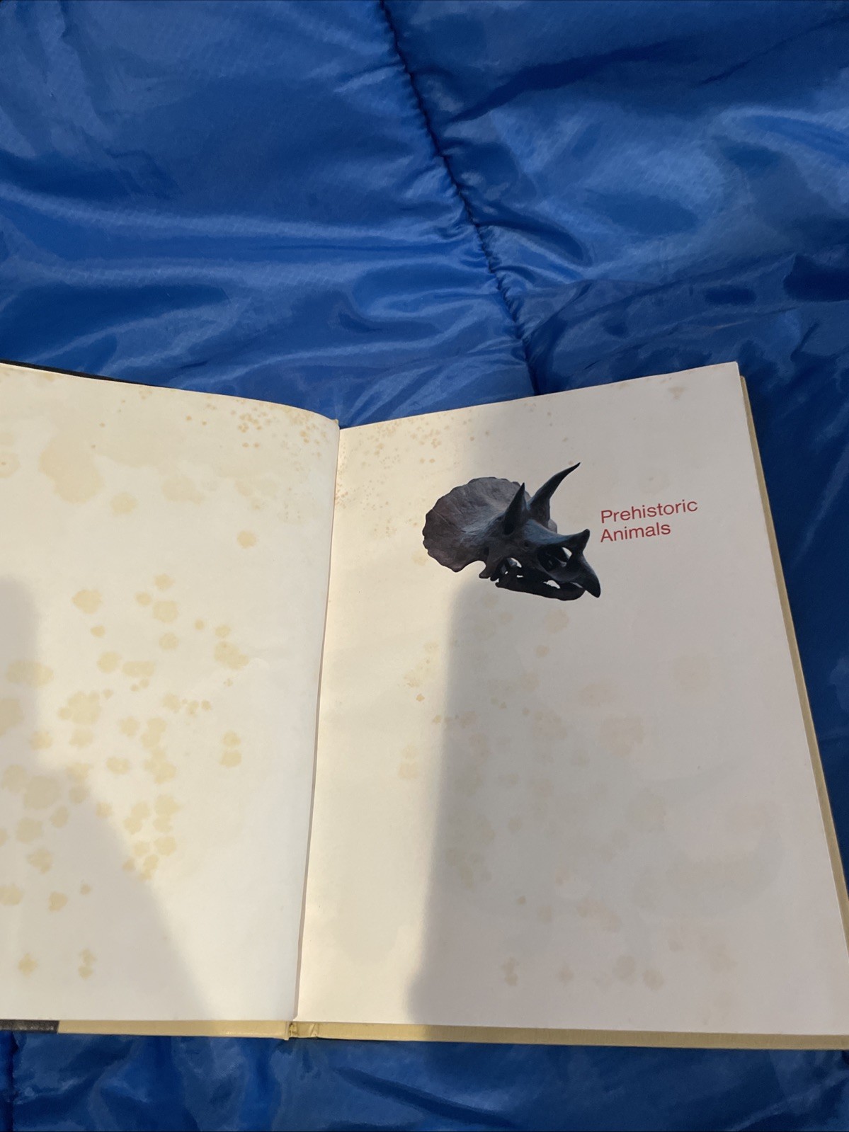 Childcraft Annual 1976 Prehistoric Animals – How and why Library