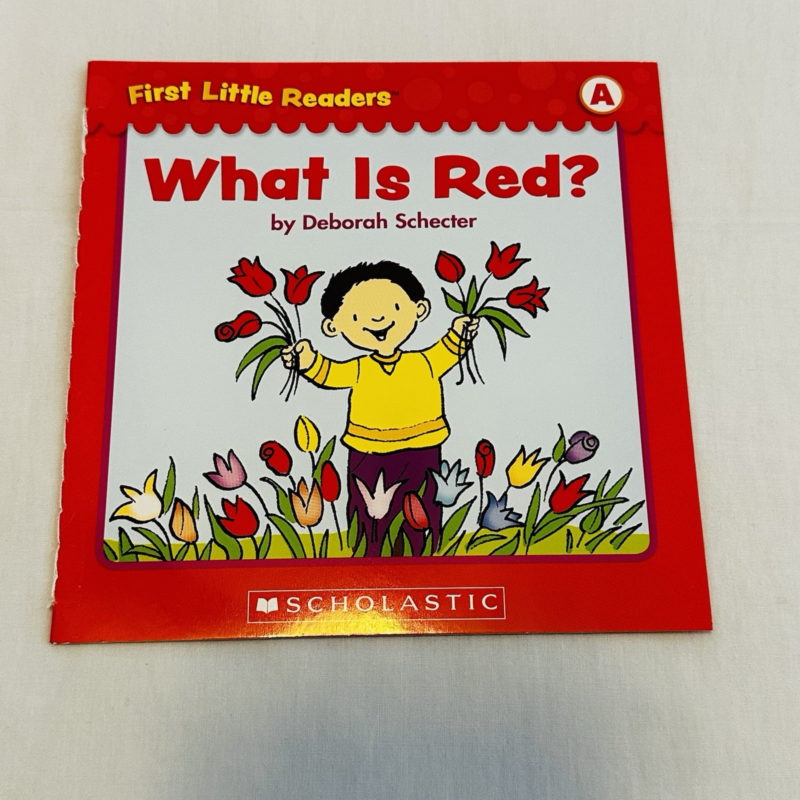 Scholastic First Little Readers Guided Reading Level A 25 SC Books Beginner
