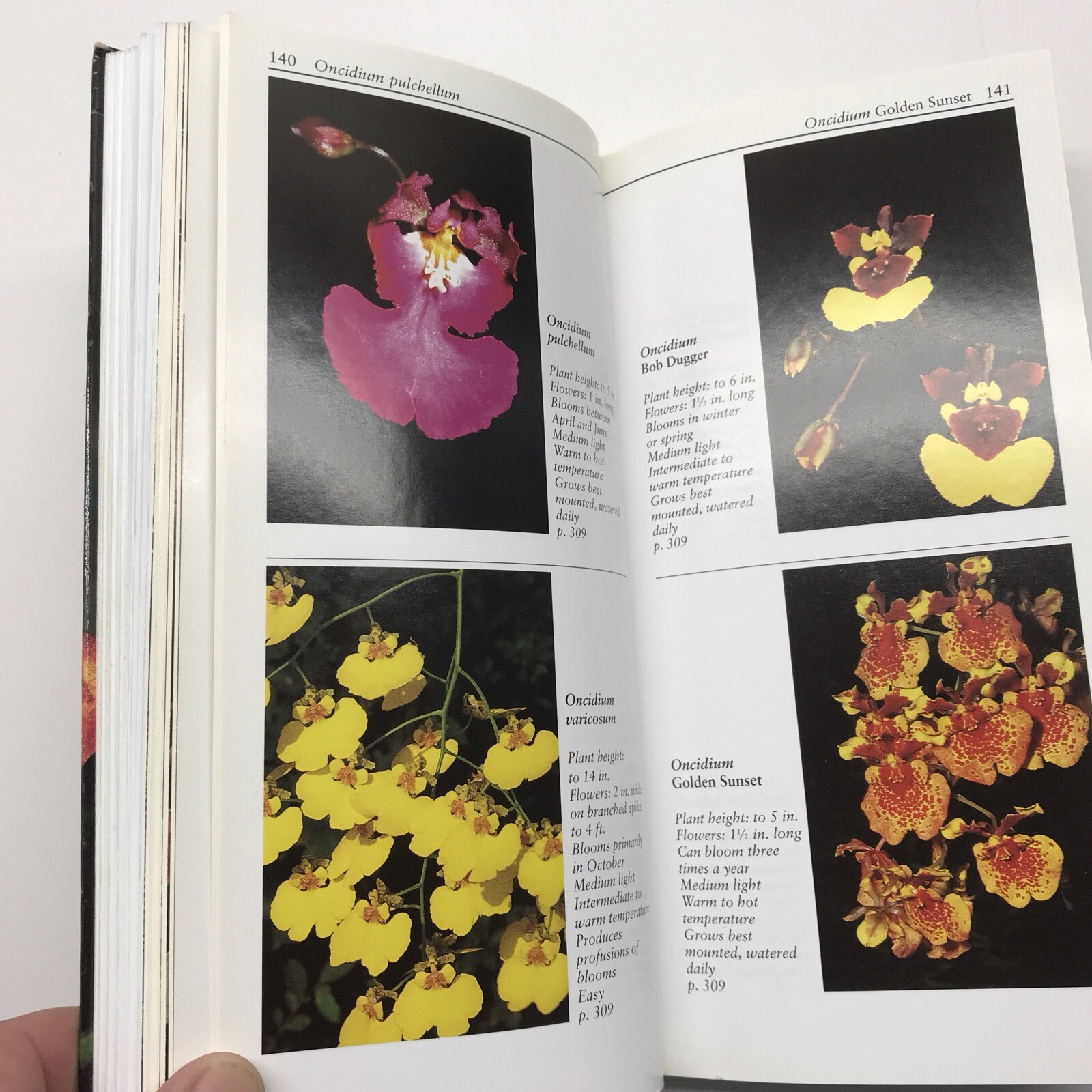 Taylor&rsquo;s Guide to Orchids~1996~Judy White~Ex Library