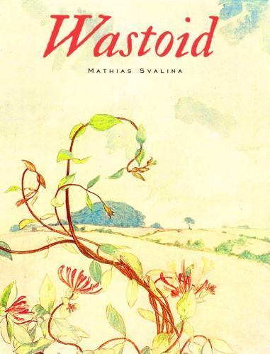 Wastoid – paperback, Mathias Svalina, 9781941985908