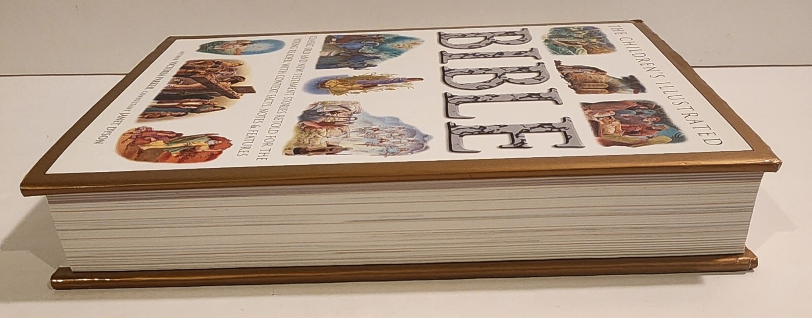 The Children&rsquo;s Illustrated Bible Victoria Parker 512 Pages