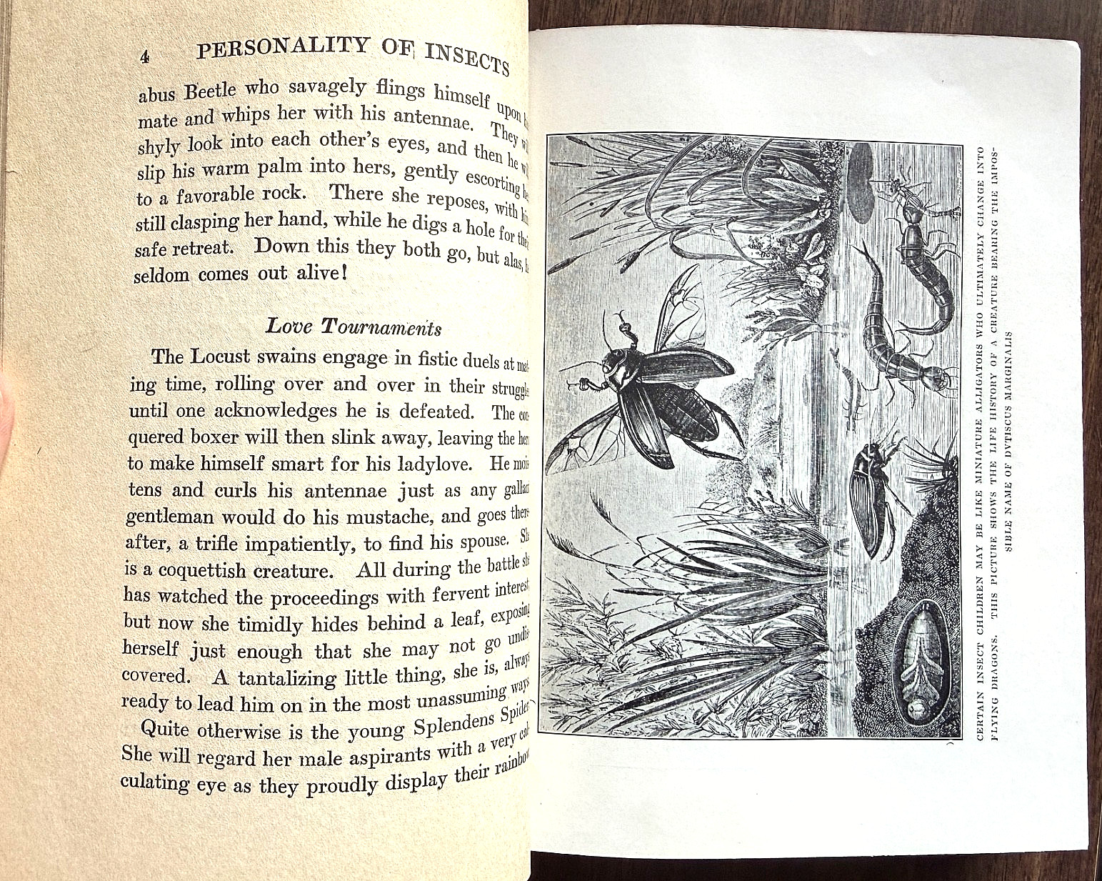 1924 1st Ed PERSONALITY of INSECTS by R. Dixon & B. Eddy HB/247pp/ILLUSTRATED