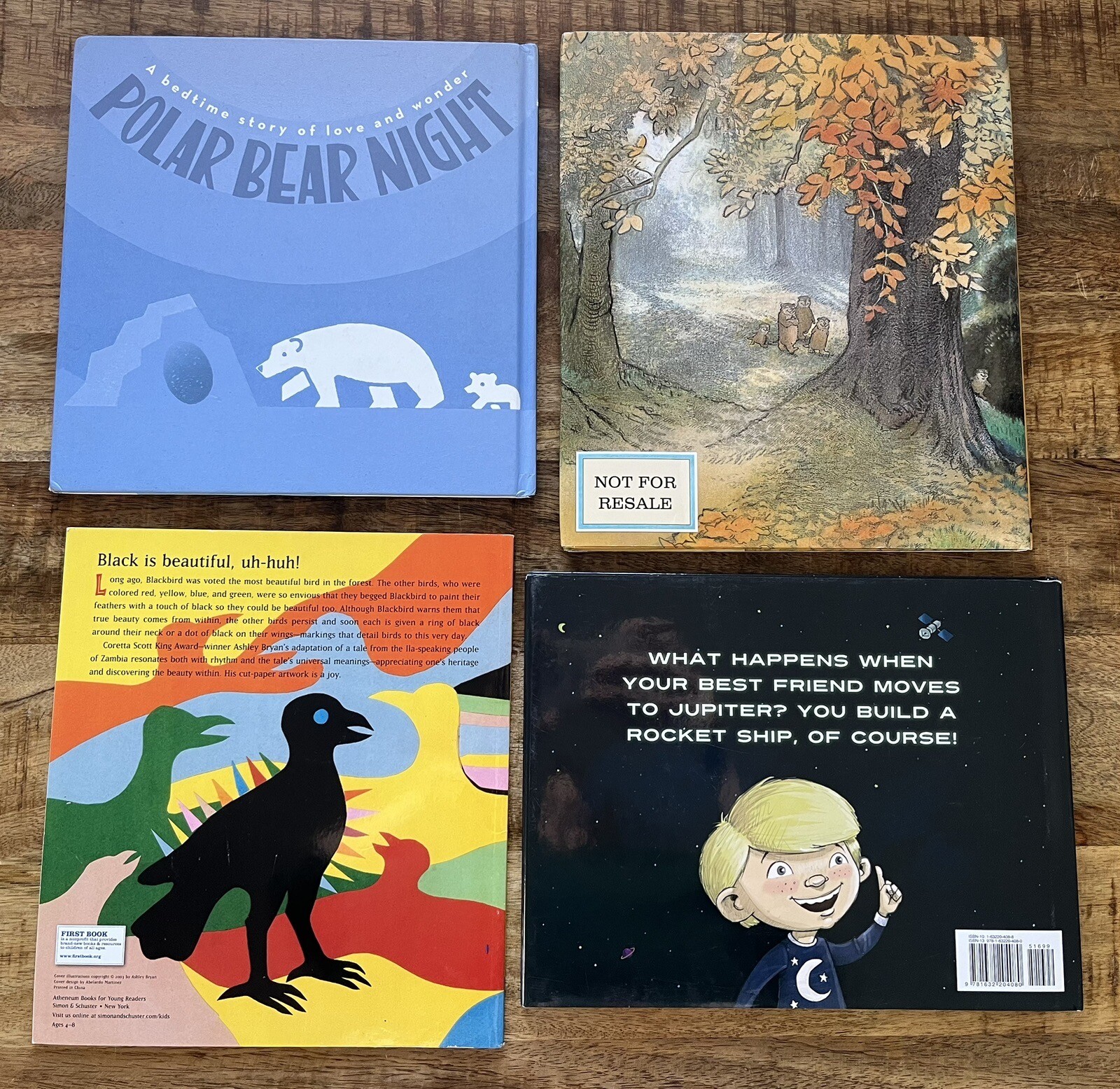 Lot of 4 Children&rsquo;s Books for Kids A House In The Woods Faraway Friends Ages 4-8
