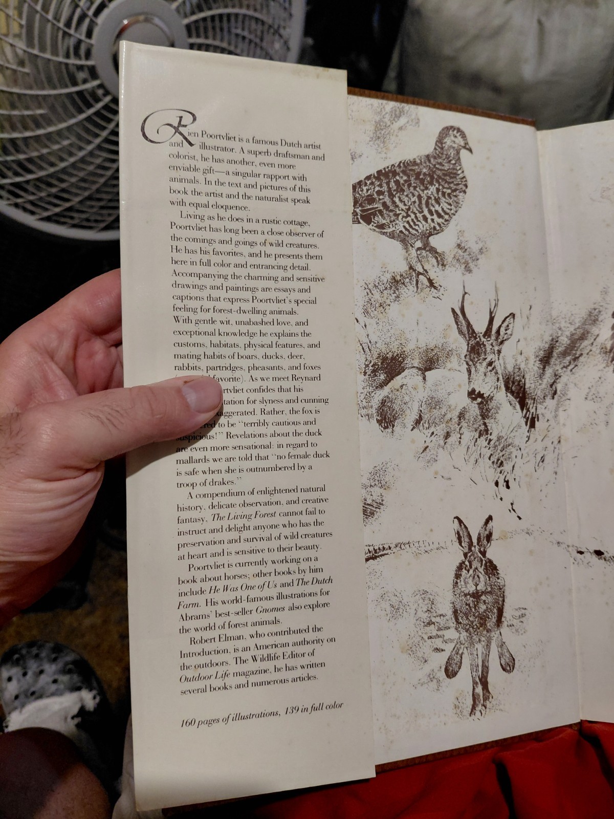 The Living Forest by Rien Poortvliet (1979, Hardcover)