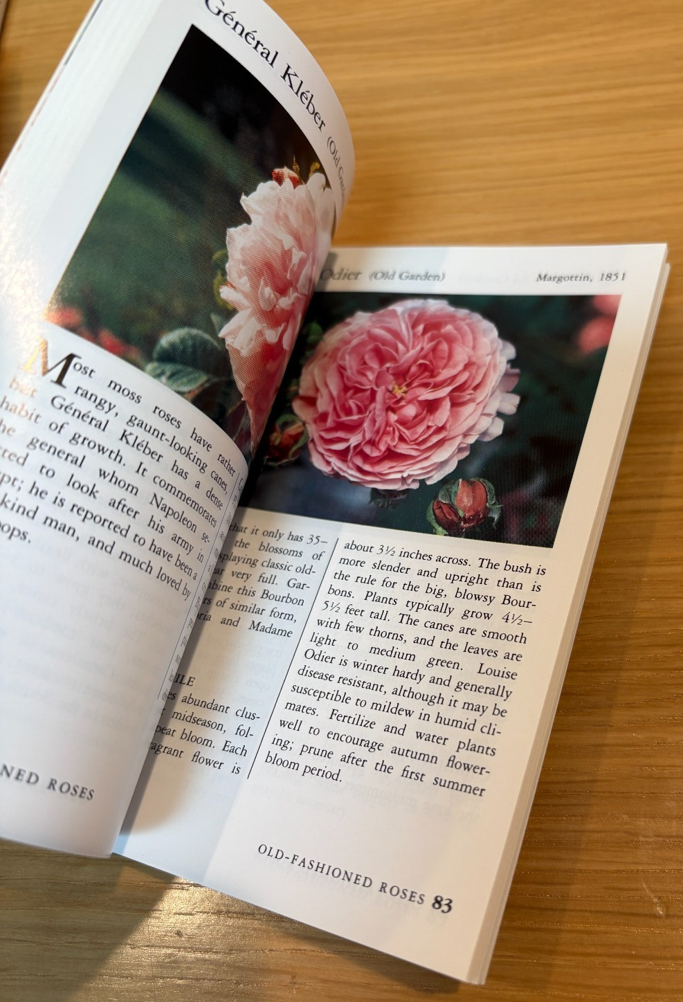 Set of 5 Taylor&rsquo;s Pocket Guides: Perennials Bulbs Spr/Sum Modern Roses Old Roses