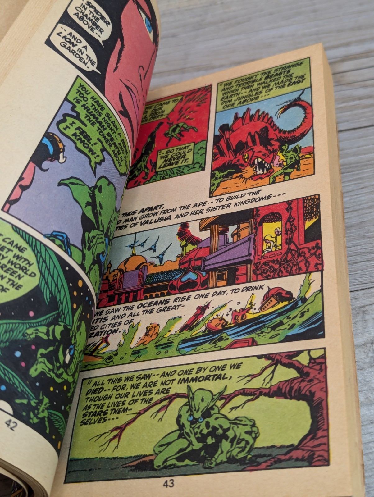 Conan the Barbarian Vol. 2 Graphic Novel Stan Lee Presents Marvel Comics 1978