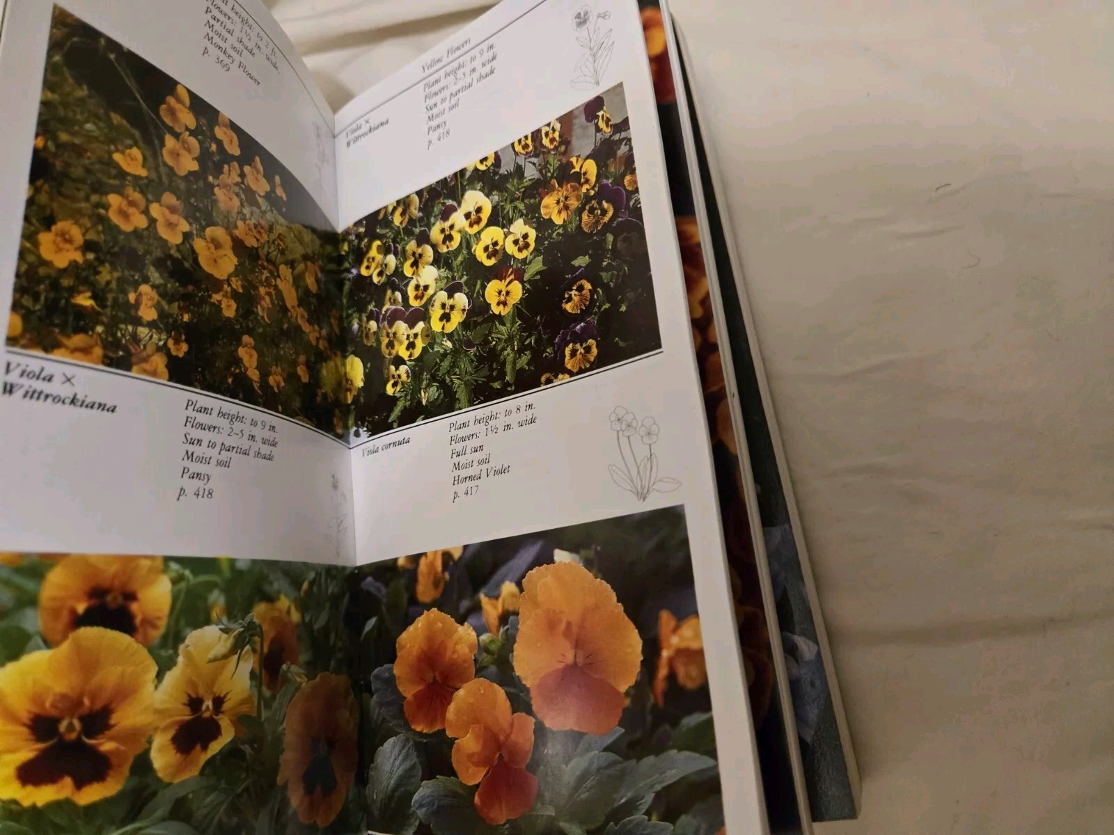 Taylor&rsquo;s Guides to Gardening: Annuals, Bulbs,Perennials First Editions Softcover