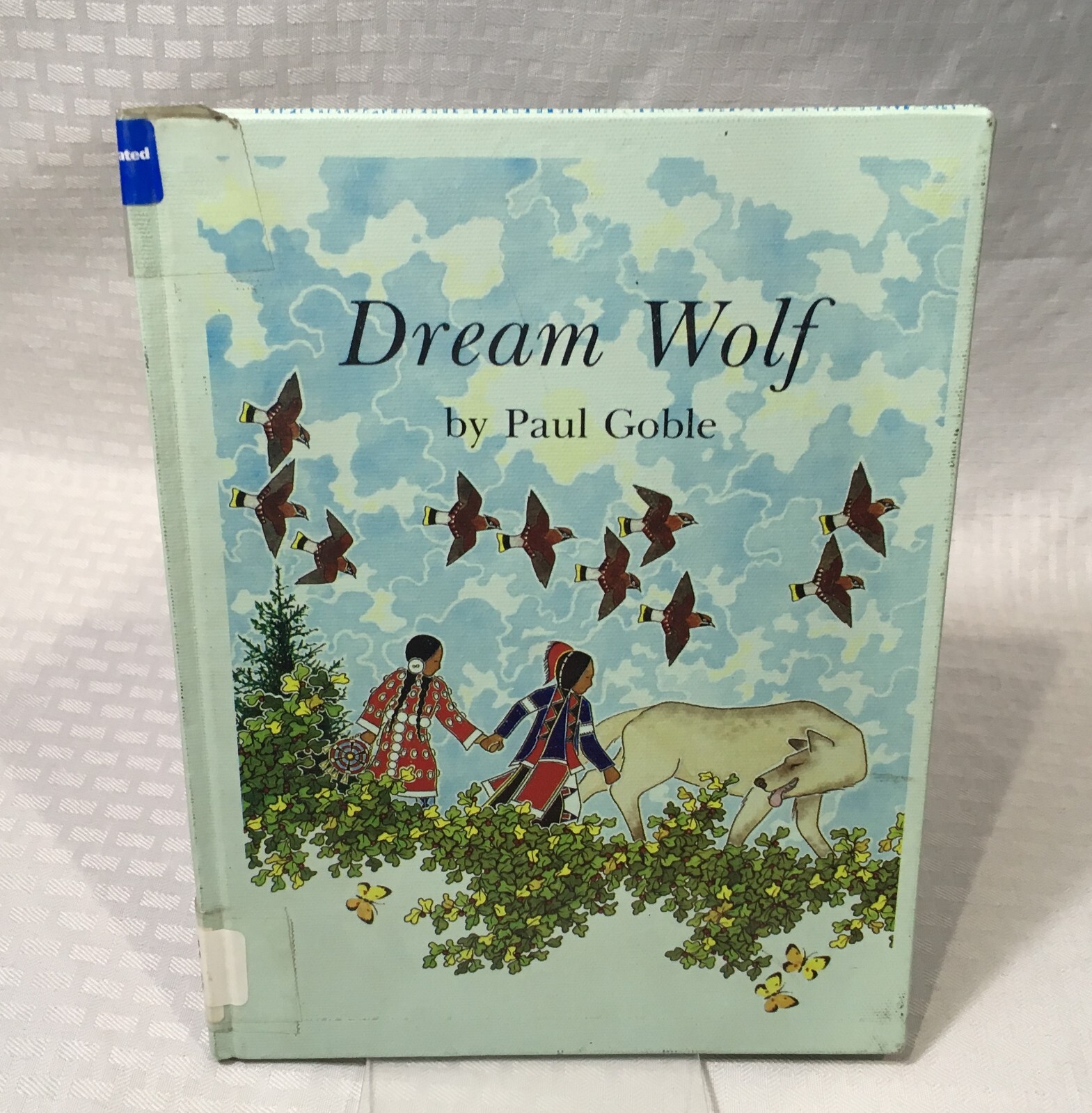 NATIVE AMERICAN BOOK LOT / 10 CHILDREN&rsquo;S PICTURE BOOK / HC / MULTIPLE TITLES