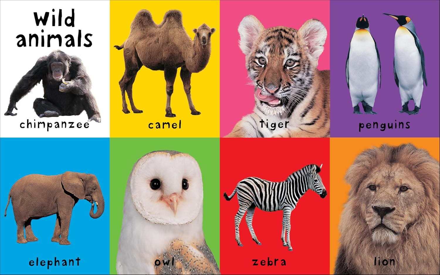 First 100 Animals: a Padded Book―Perfect for Little Hands to Hold