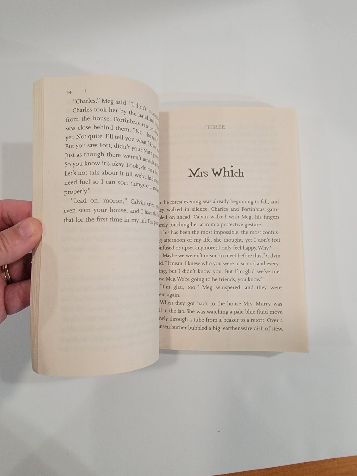 Madaleine L&rsquo;Engle ~ A Wrinkle In Time ~ 2007, 1st Square Fish Edition, Paperback