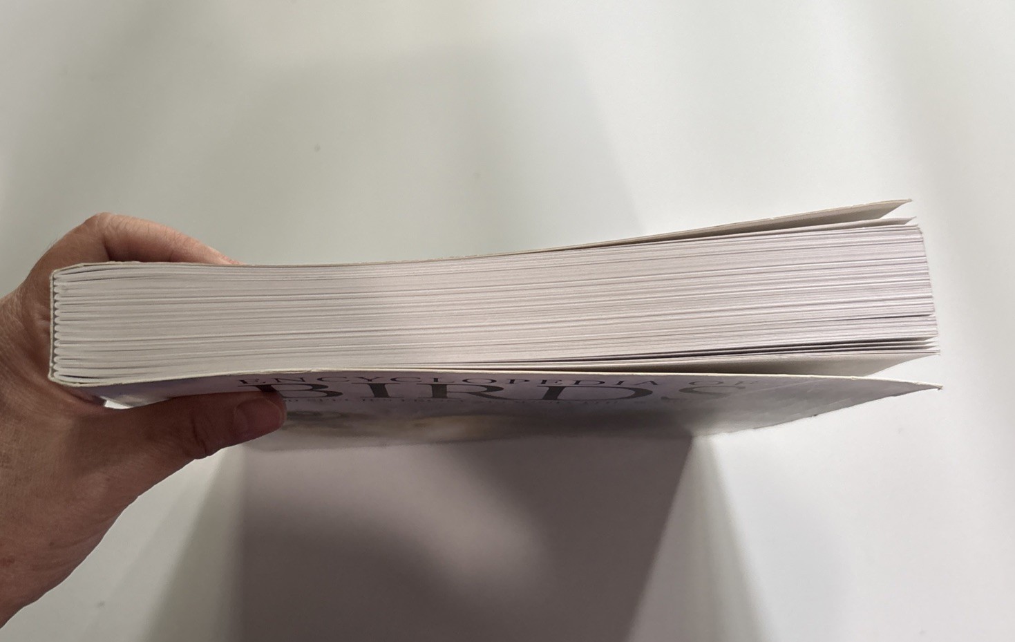Encyclopedia of Birds: 400 Species from Around the World 448 Pages 9&Prime;x12&Prime;