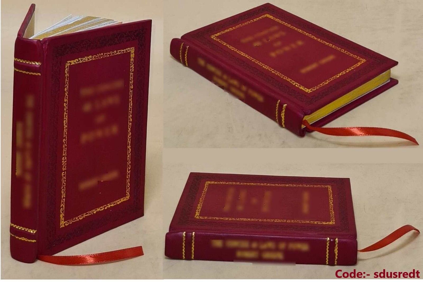 How to Sell Homemade Porn in 2020 BY Triumph, Mike [Premium Leather Bound]