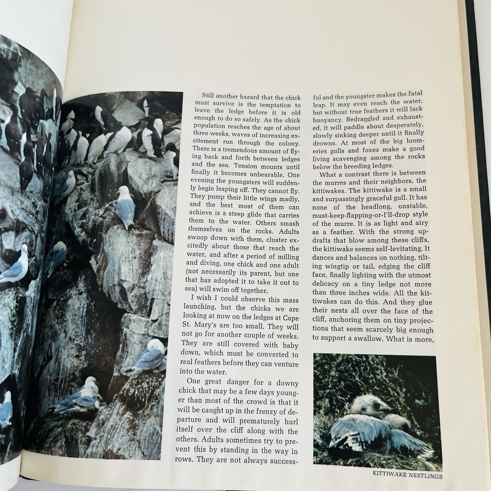 Vintage « The American Wilderness » Time Life Books Collection 1973 Lot of 7