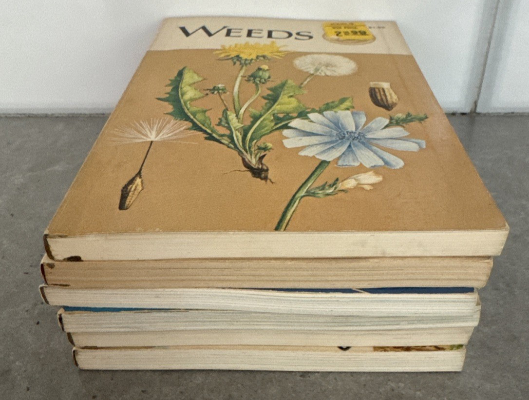 Lot of 6 1950&rsquo;s/60&rsquo;s Golden Nature Guide Vintage Children&rsquo;s Science PB Books MCM