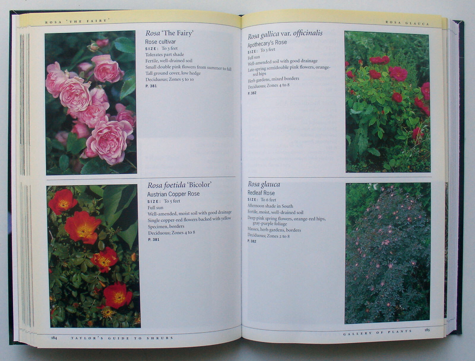 Taylor&rsquo;s Guides: Shrubs : How to Select and Grow Shrubs – Kathleen Fisher – PB