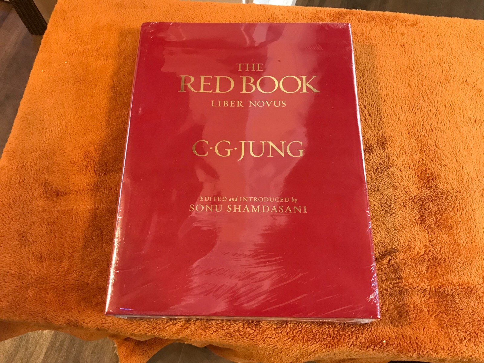 C.G. Carl Jung hardcover THE RED BOOK liber novus SEALED philemon &rsquo;09 illus eng!