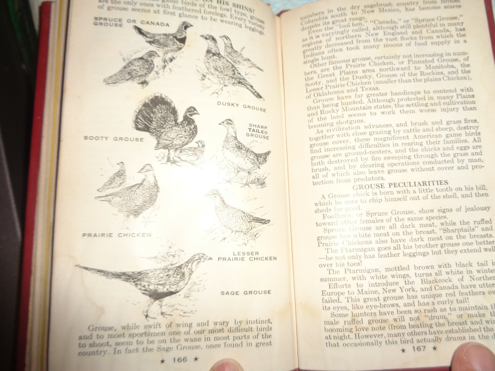HODGMAN&rsquo;S HANDY BOOK OF SPORTSMEN&rsquo;S SECRETS COPYRIGHT 1946 VINTAGE 168 PAGES