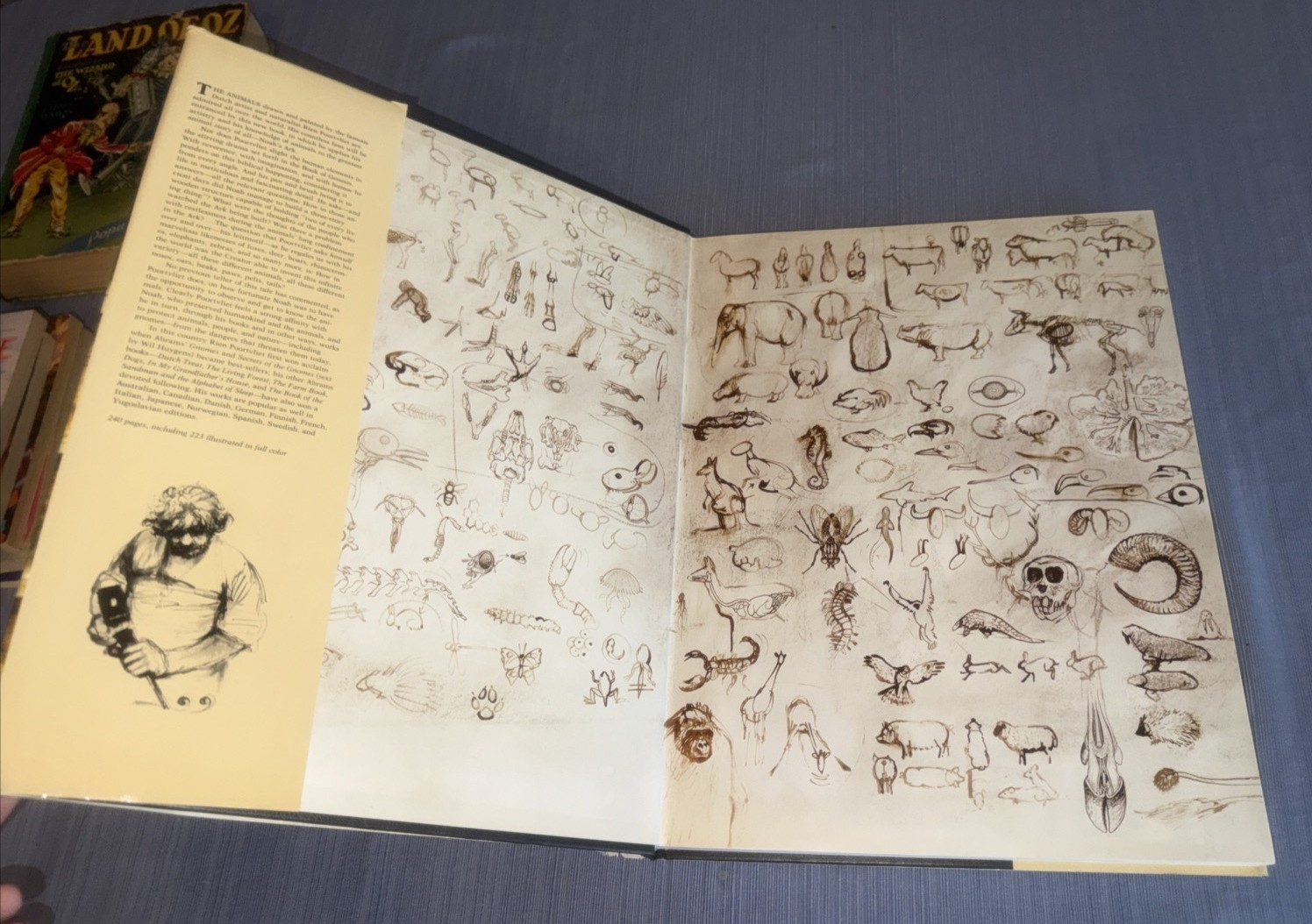 NOAH&rsquo;S ARK English Edition by Rien Poortvliet Good Oversized HC/DJ USED