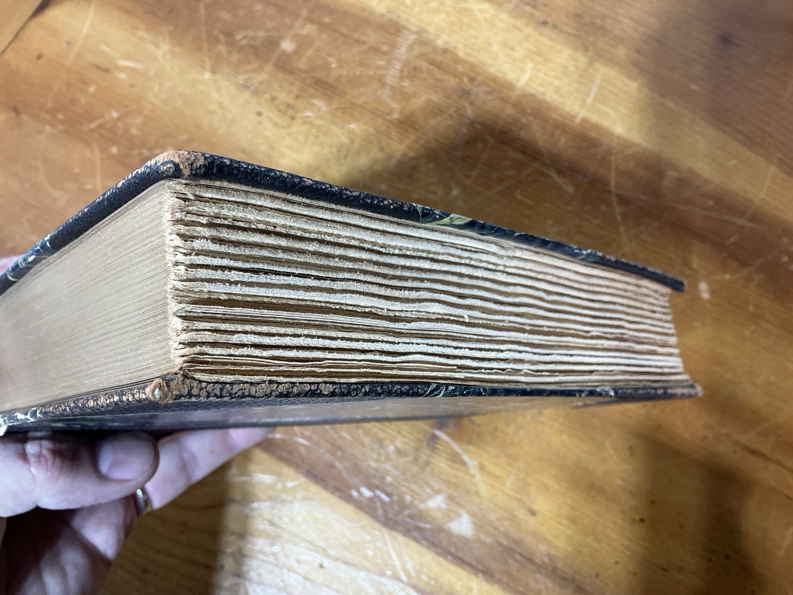 DOMBEY & SON the Works Of Charles Dickens Oliver 1878 Deluxe Edition Jefferson