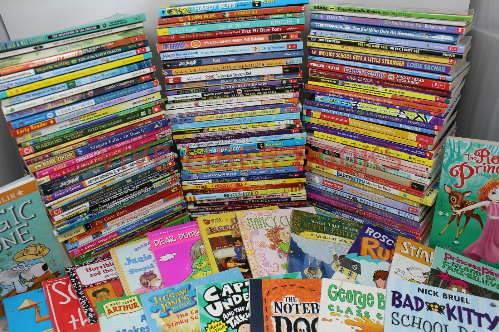 Bulk/Huge Lot of 50 of Children&rsquo;s Kids Chapter Books – Random – Free Shipping!