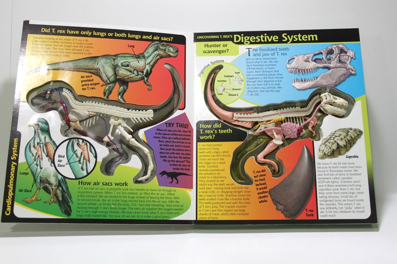 Uncover T- Rex Board Book Dennis Schatz 3D Dinosaur Bones Tyrannosaurus Kids