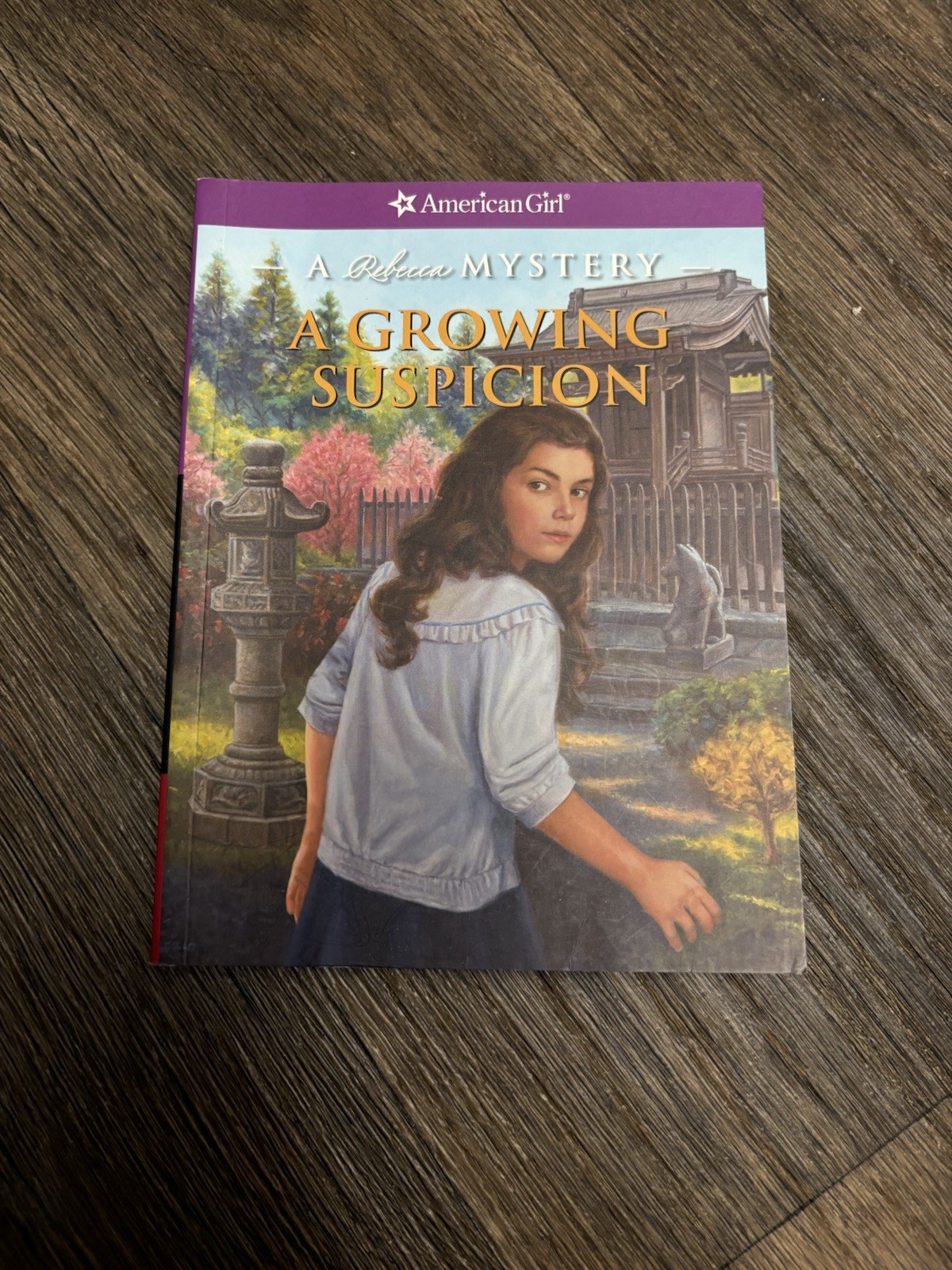 American Girl Lot Of 3 Rebecca Mystery Books