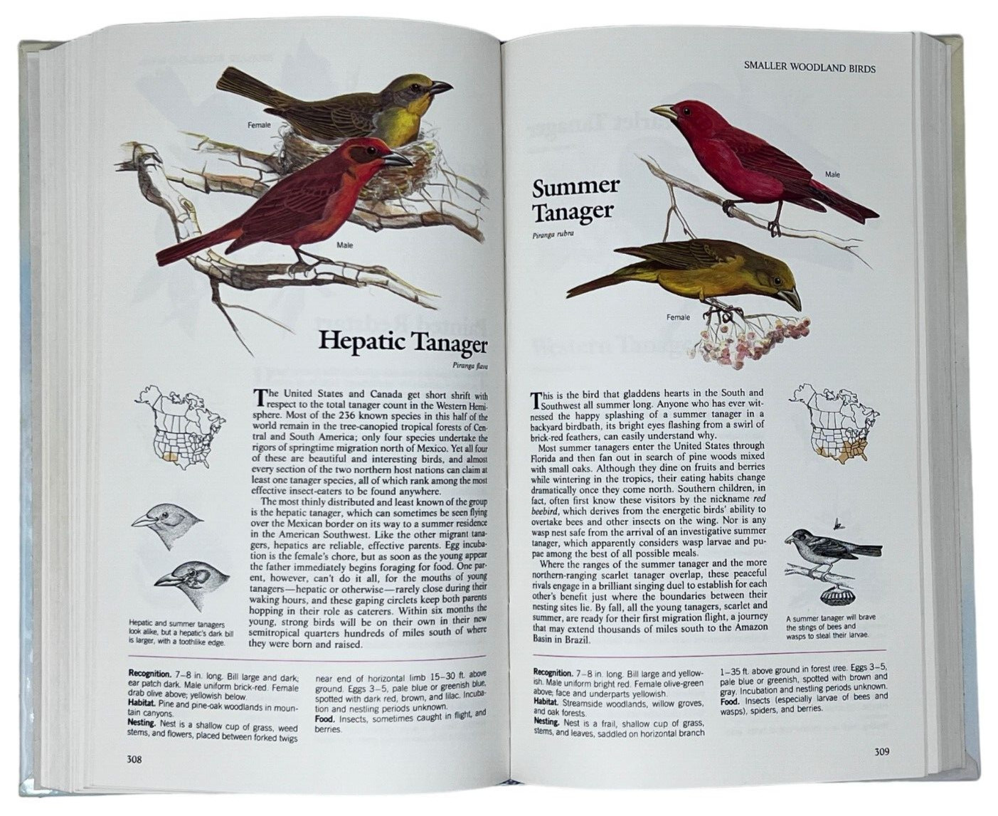 Reader&rsquo;s Digest Book of North American Birds 1990 600 Species 576 Pages Illos
